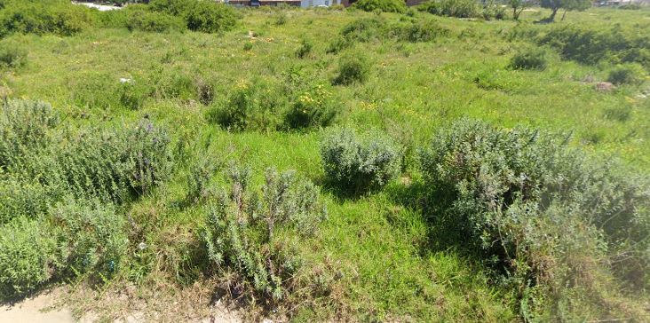 Commercial Property for Sale in Colchester Eastern Cape